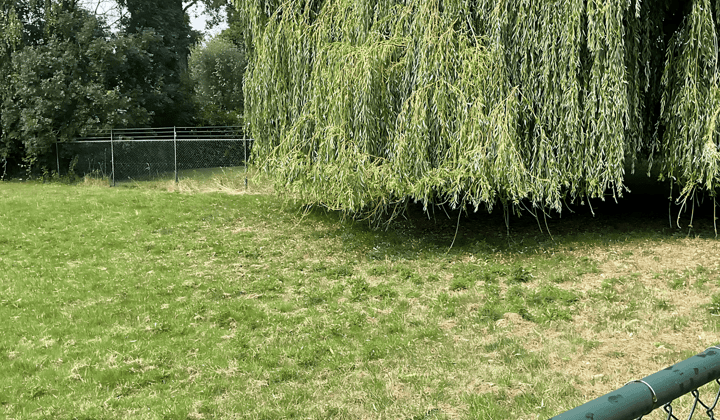 Kantoor · 15 m² · €300,-