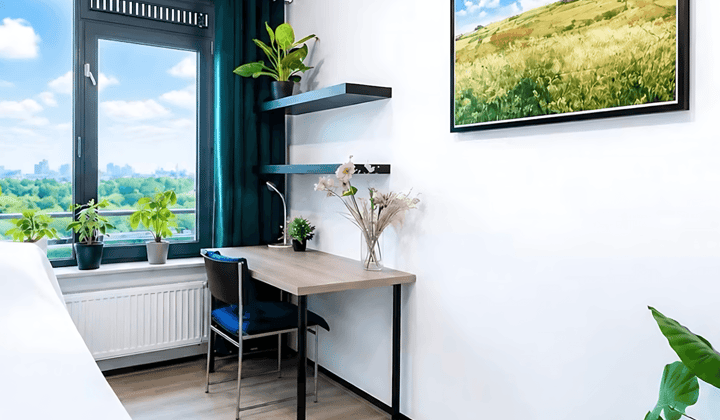 Kamer · 33 m² · €1437,-