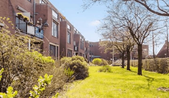 Appartement · 70 m² · €649,-