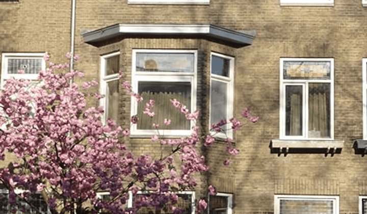 Studio · 31 m² · €1085,-