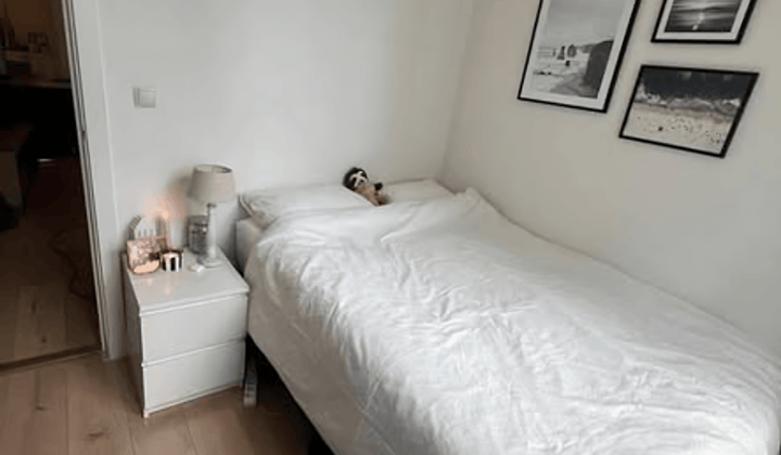 Studio · €800,-
