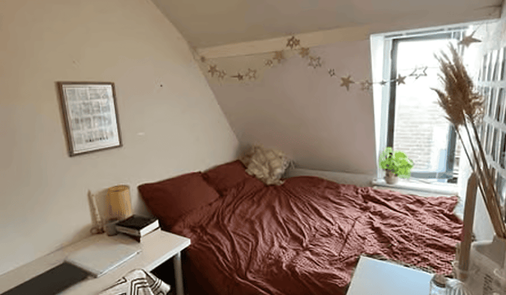 Kamer · 84 m² · €675,-