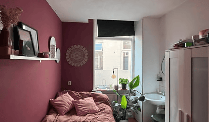 Kamer · 15 m² · €505,-