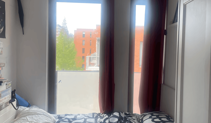 Kamer · 12 m² · €303,-