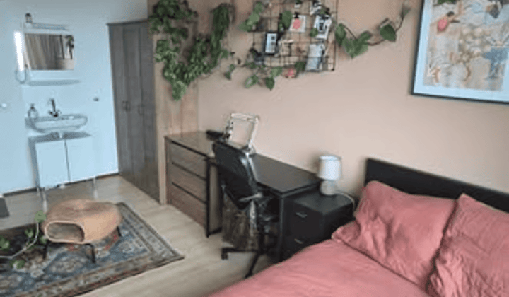 Kamer · 15 m² · €466,-