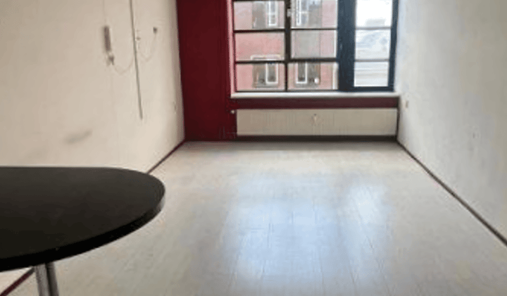 Gestoffeerde studio met eigen wasmachine in centrum
