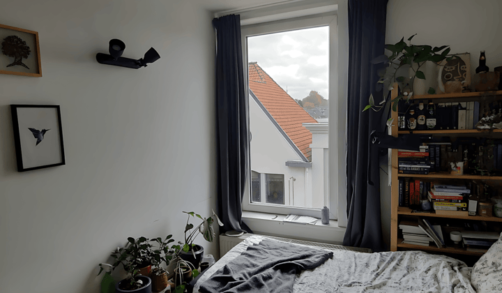 Kamer · 10 m² · €490,-