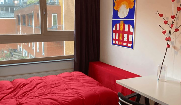 Kamer · 12 m² · €850,-