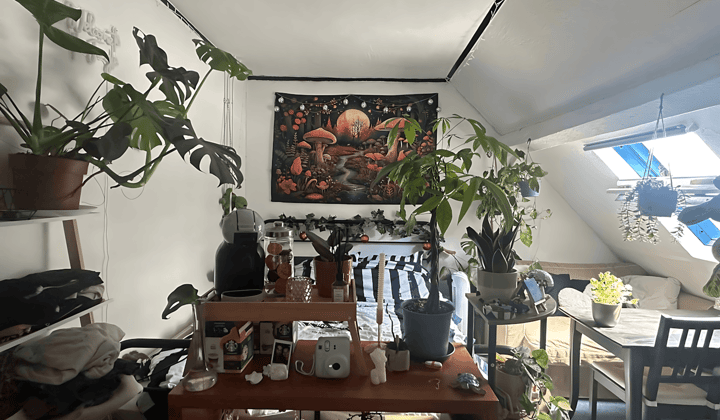 Kamer · 15 m² · €310,-