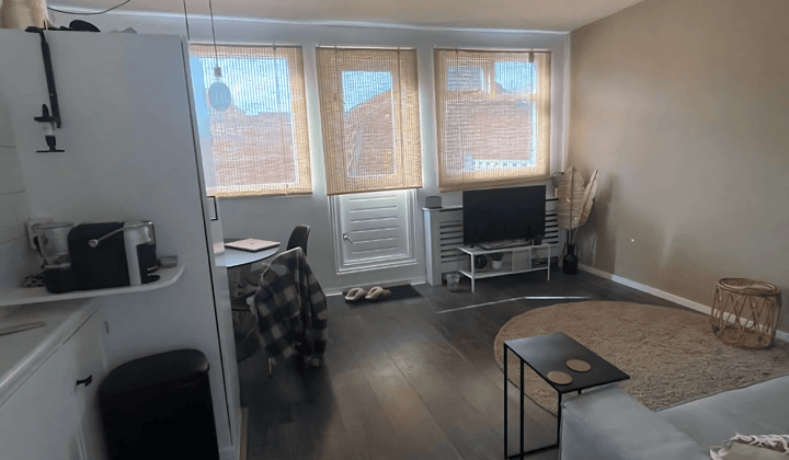 Studio · 50 m² · €1300,-