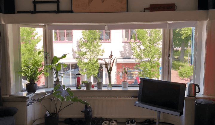 Kamer · 20 m² · €530,-