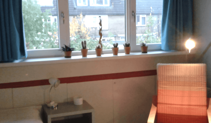 Gemeubileerde kamer met tuin