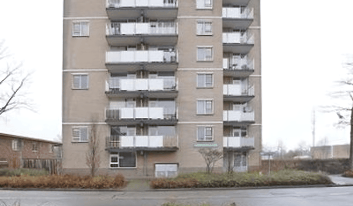 Appartement · 49 m² · €980,-