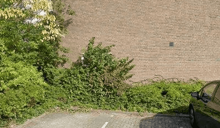 Huis · 133 m² · €1450,-