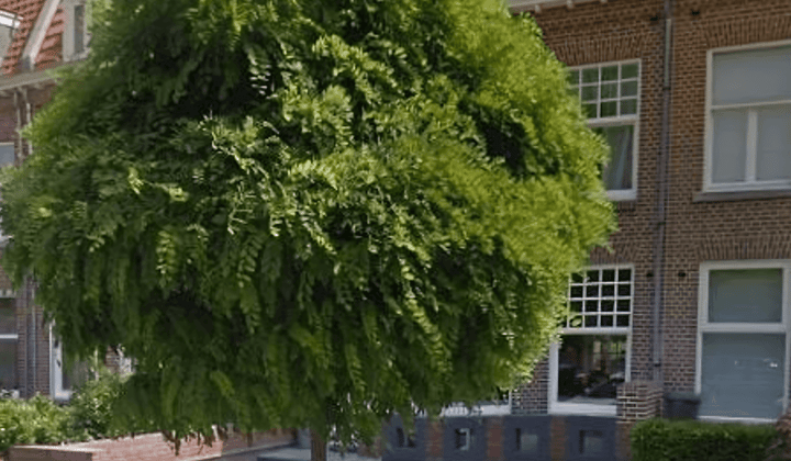 Studio · 40 m² · €825,-