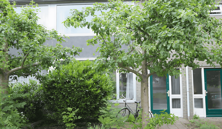 Huis · 135 m² · €1650,-