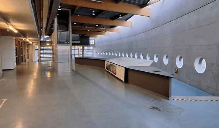 Bedrijfsruimte · 50 m² · €350,-