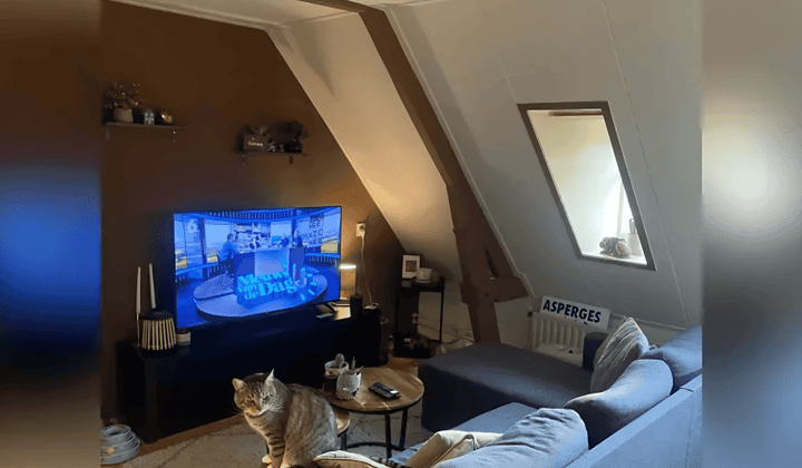 Appartement · 36 m² · €456,-