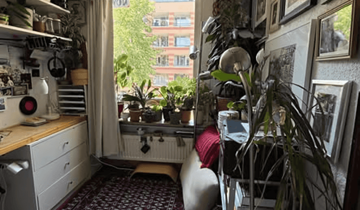 Knusse kamer met ingebouwde hoogslaper en dieren welkom