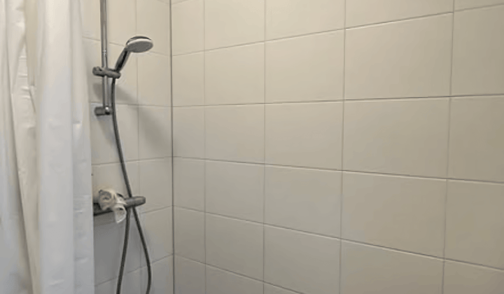 Gemeubileerde studio zonder huisdieren