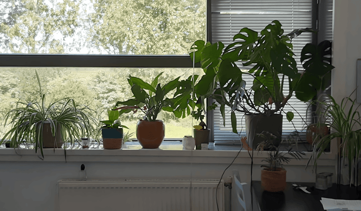 Kamer · 15 m² · €699,-