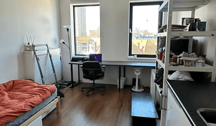 Gemeubileerde studio zonder huisdieren
