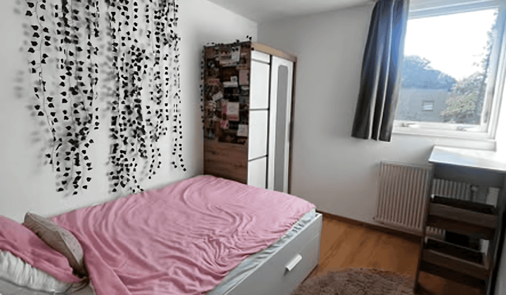 Studentenkamer met Wasmachine en Luxe Badkamer zonder Studenten