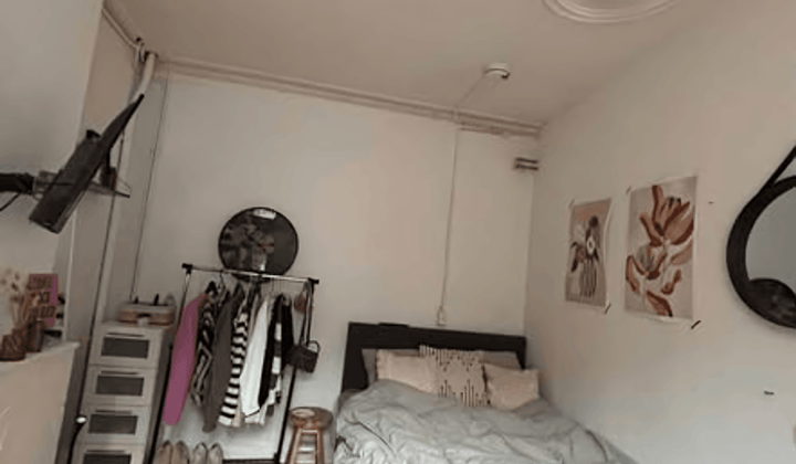 Kamer met tuin en wasmachine, Nederlandse voorkeur