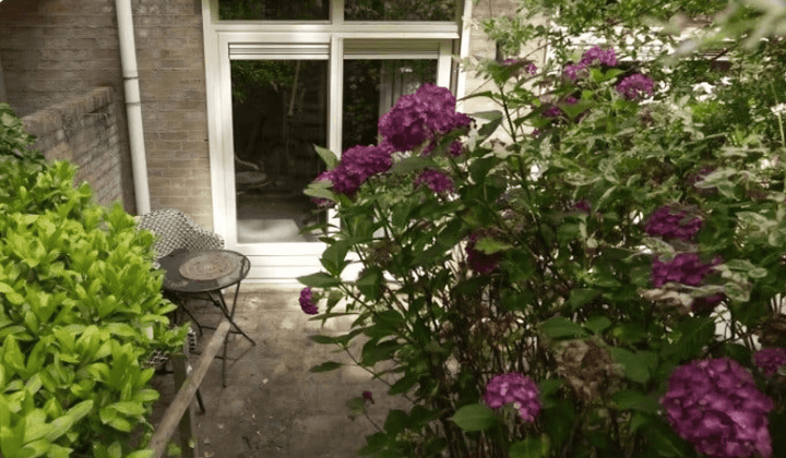 Appartement · 40 m² · €990,-