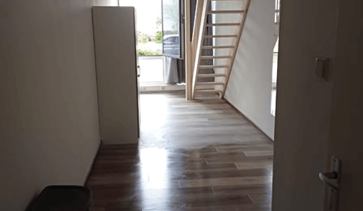 Studio · 44 m² · €1129,-