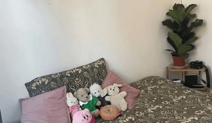 Kamer · 10 m² · €543,-