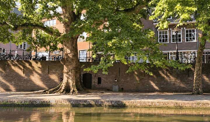 Studio · 36 m² · €2035,-