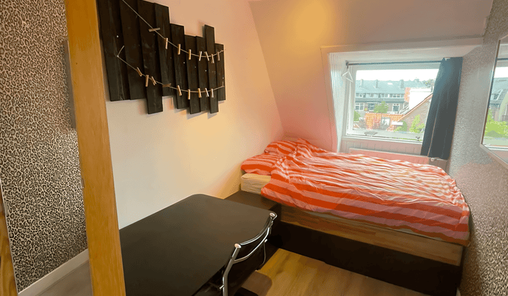 Kamer · 8 m² · €550,-