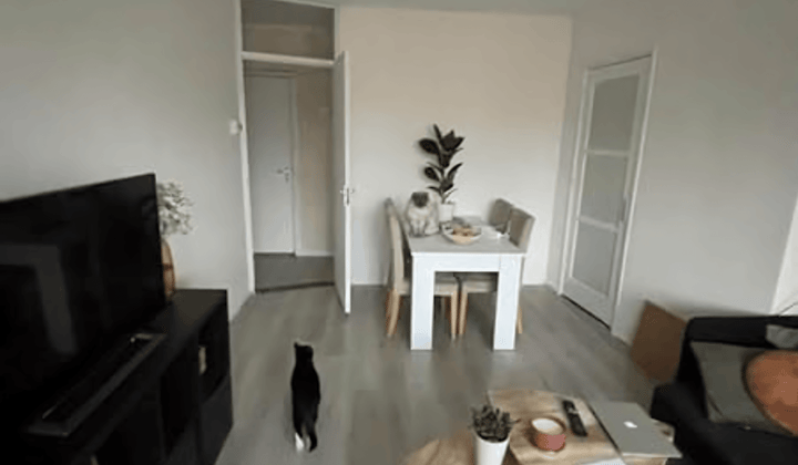Huis · 56 m² · €726,-