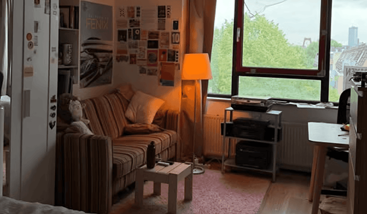 Kamer · 17 m² · €529,-
