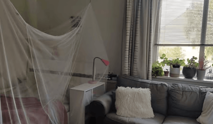 Kamer · 20 m² · €610,-