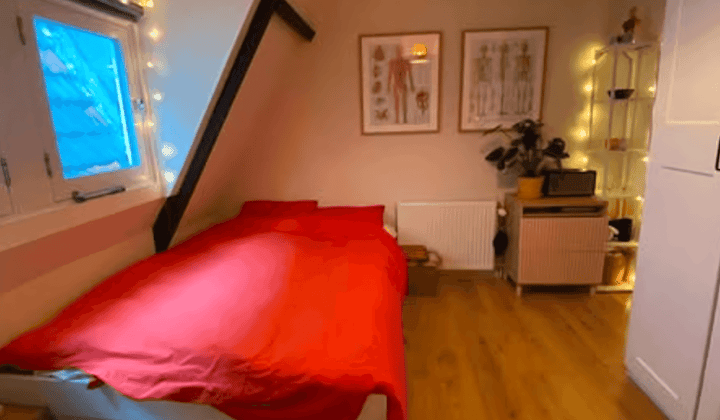 Kamer · 12 m² · €660,-