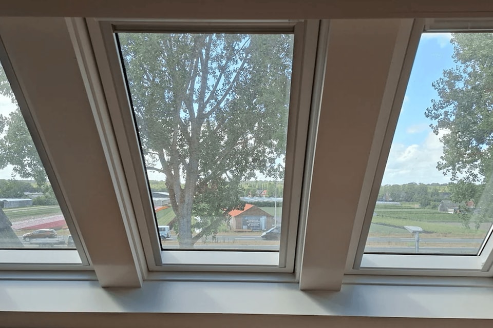 Kamer huren in Haarlem