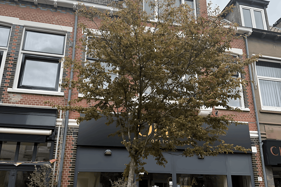 Appartement huren in Bussum