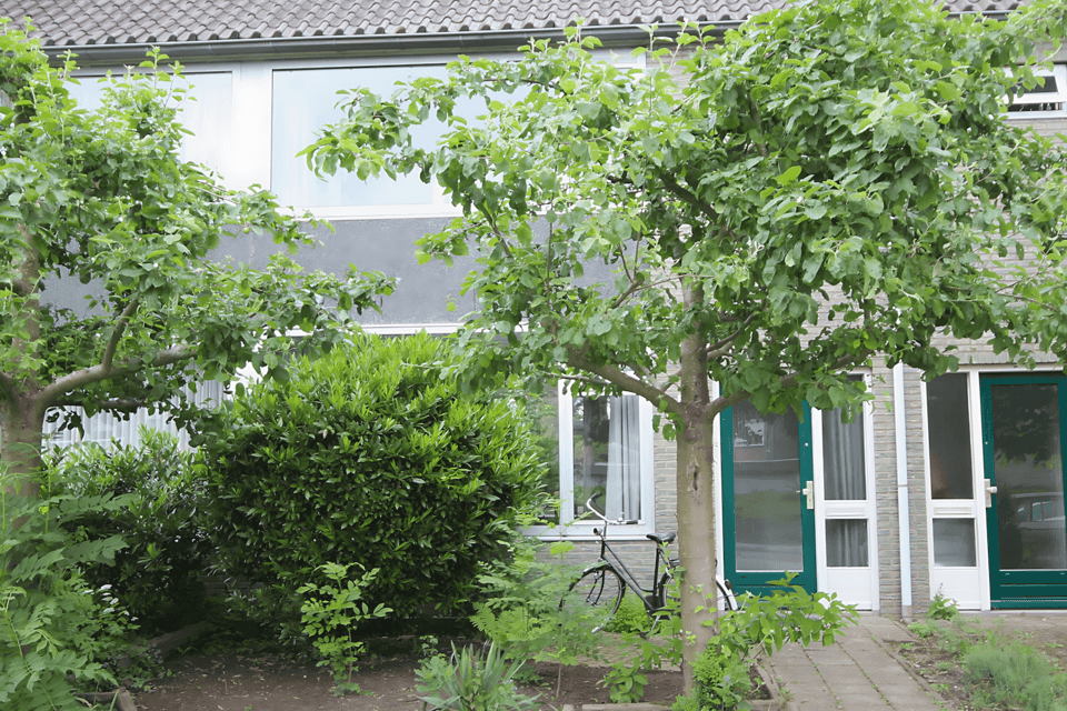 Huis huren in Brummen
