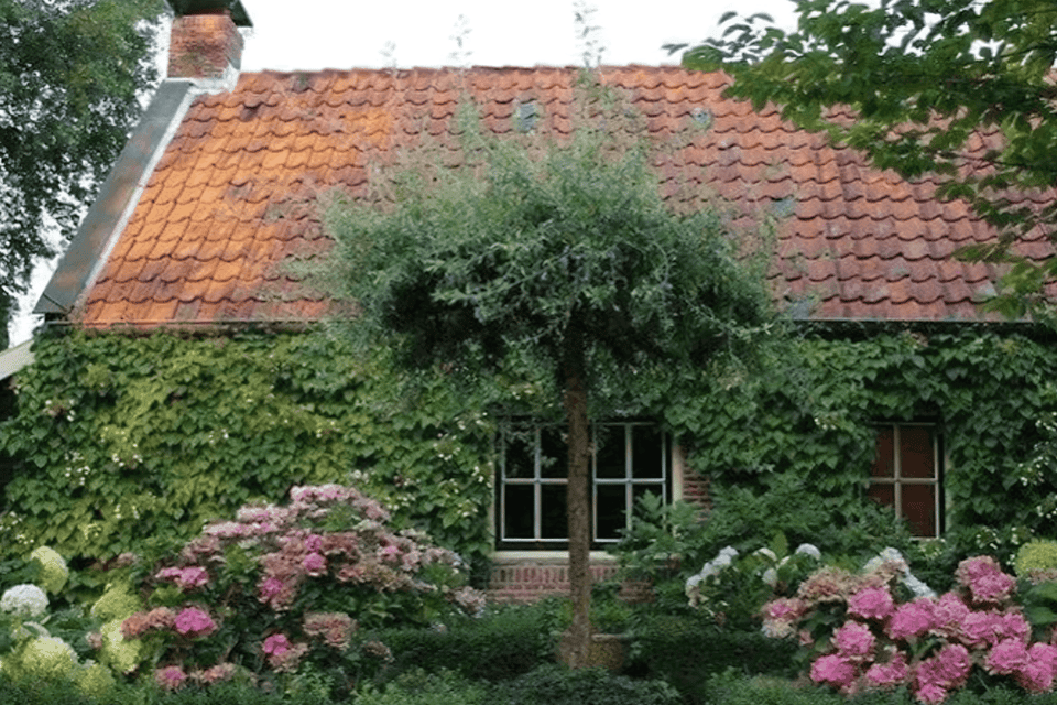 Appartement huren in Houten