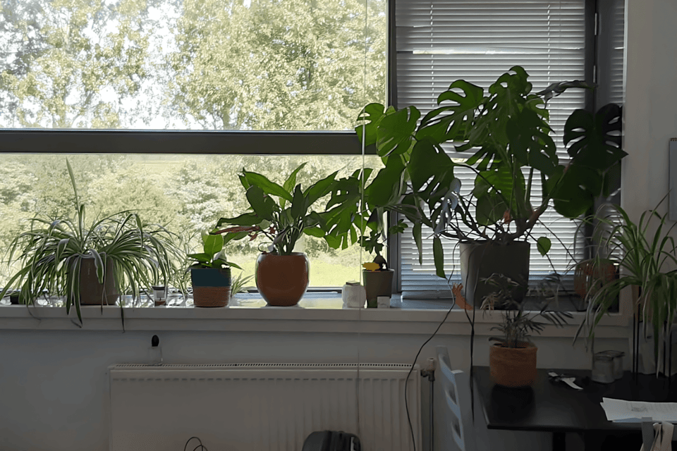 Kamer huren in Leiderdorp