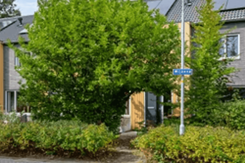 Huis huren in Bergen