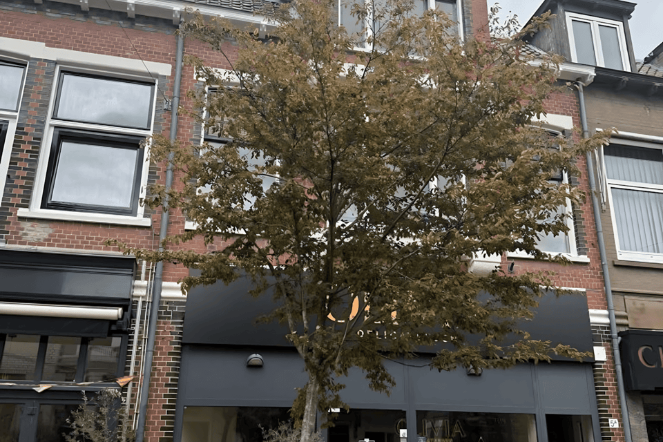 Appartement huren in Bussum