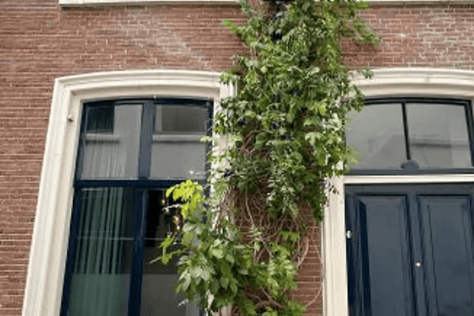 Appartement huren in Utrecht