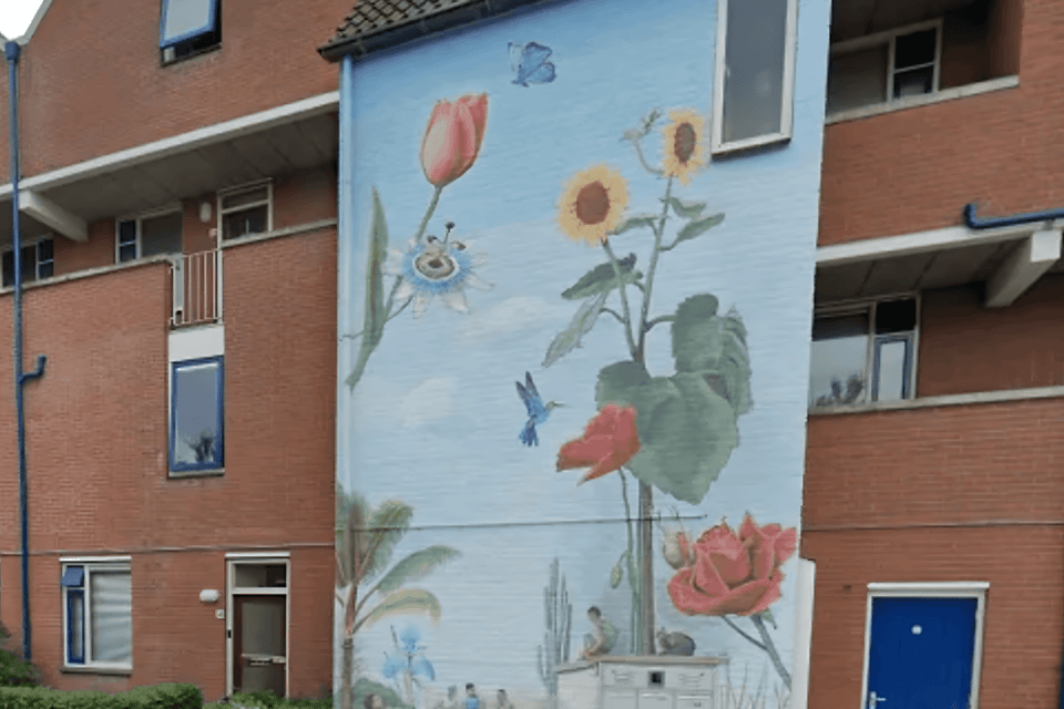Huis huren in Groningen