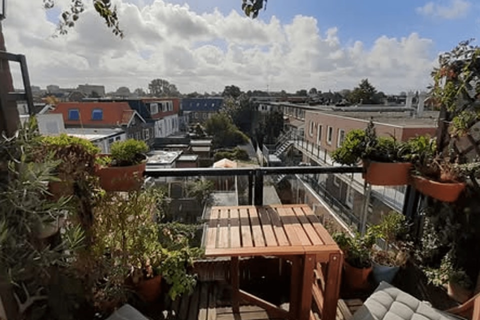 Appartement huren in Haarlem