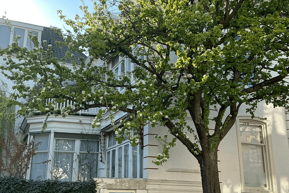 Kamer huren in Den Haag