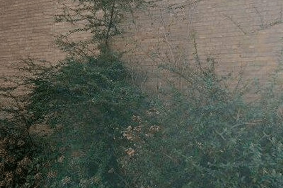 Huis huren in Rhoon