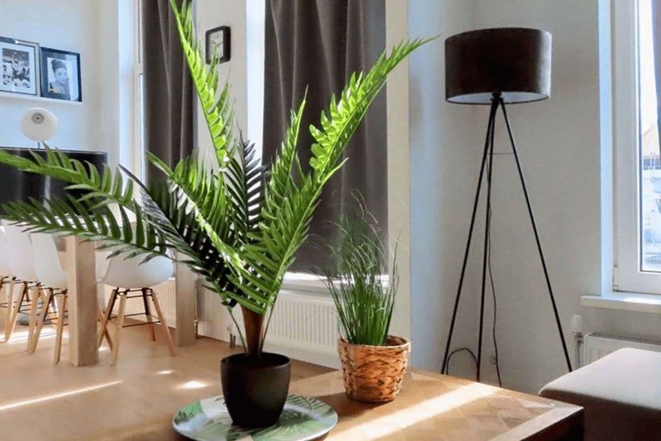 Studio huren in Den Haag
